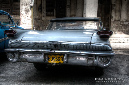 DSC_0421_2_3_s