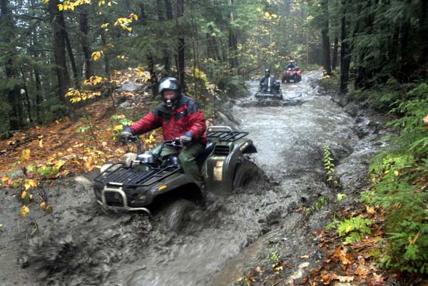 _D060868